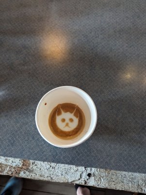 Blue Owl Coffee by null