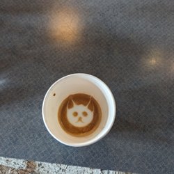 Blue Owl Coffee - Cortado. Meow