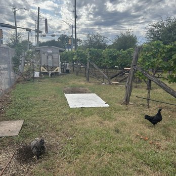 The Nice Winery - Wineries Near Me - Houston, Texas The Nice Winery - Wineries Near Me - Houston, Texas
