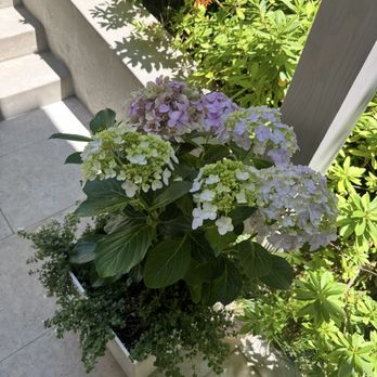 AG Landscaping - Landscaping Near Me AG Landscaping - Landscaping Near Me