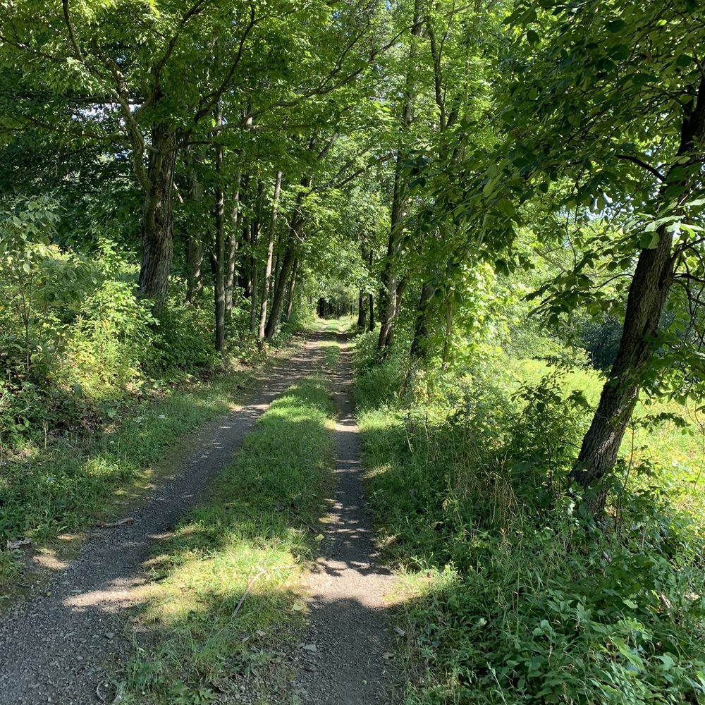 New Paltz Biking - Mohonk Preserve Trail - Bike Rentals Near Me - New Paltz, New York New Paltz Biking - Mohonk Preserve Trail - Bike Rentals Near Me - New Paltz, New York