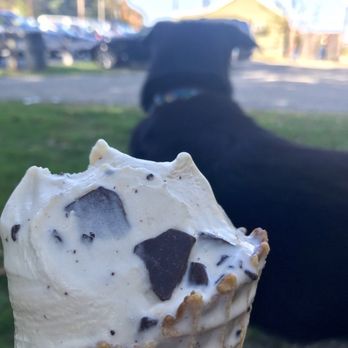 Carter's Ice Cream - a dog in the background - Ice Cream & Frozen Yogurt Near Me - Haverhill, Massachusetts Carter's Ice Cream - a dog in the background - Ice Cream & Frozen Yogurt Near Me - Haverhill, Massachusetts