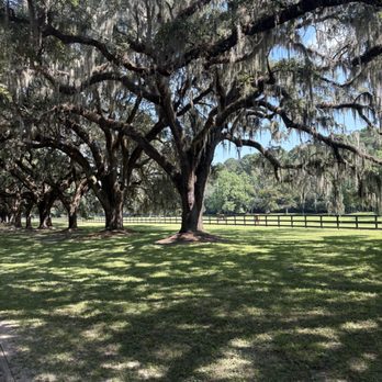 Boone Hall Plantation - Venues & Event Spaces Near Me - Mount Pleasant, South Carolina Boone Hall Plantation - Venues & Event Spaces Near Me - Mount Pleasant, South Carolina
