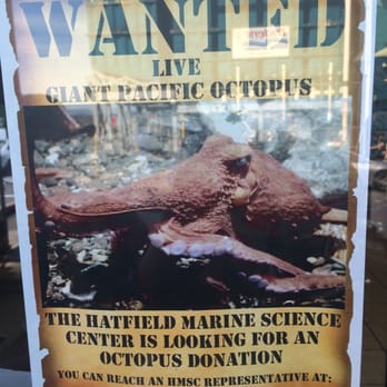 Hatfield Marine Science Center - I hope they found an octopus!! - Aquariums Near Me - Newport, Oregon Hatfield Marine Science Center - I hope they found an octopus!! - Aquariums Near Me - Newport, Oregon