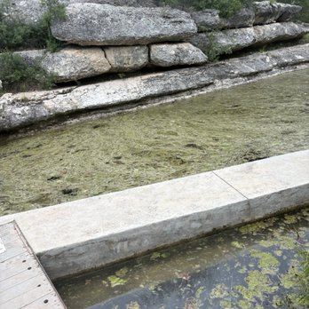 Jacobs Well Natural Area - Blooming algae.. sad conditions at Jacob's well... - Parks Near Me - Wimberley, Texas Jacobs Well Natural Area - Blooming algae.. sad conditions at Jacob's well... - Parks Near Me - Wimberley, Texas