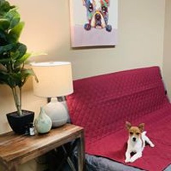 Urban Mutt Retreat - Sweet Link - Pet Boarding Near Me - Cypress, Texas