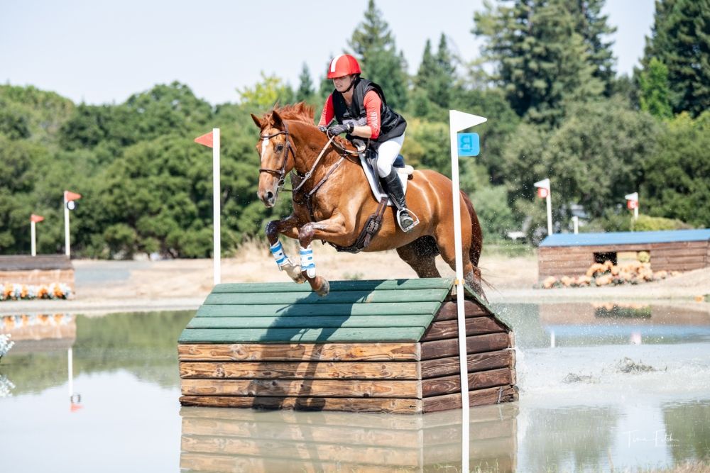Alicia Swinton Equestrian Logo