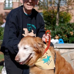 Paws4ever - Amiga- a Drill Team Star