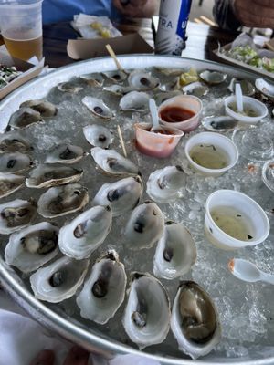The Shuck Shack by null
