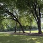 Photo of Jack Carter Dog Park