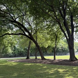 Jack Carter Dog Park