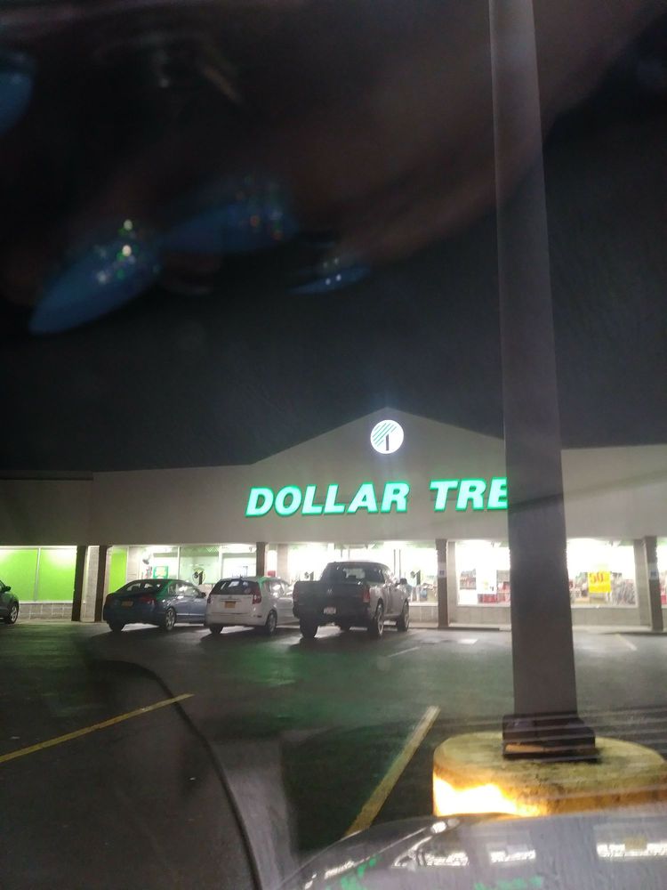 DOLLAR TREE 716 Foote Ave, Jamestown, New York Discount Store