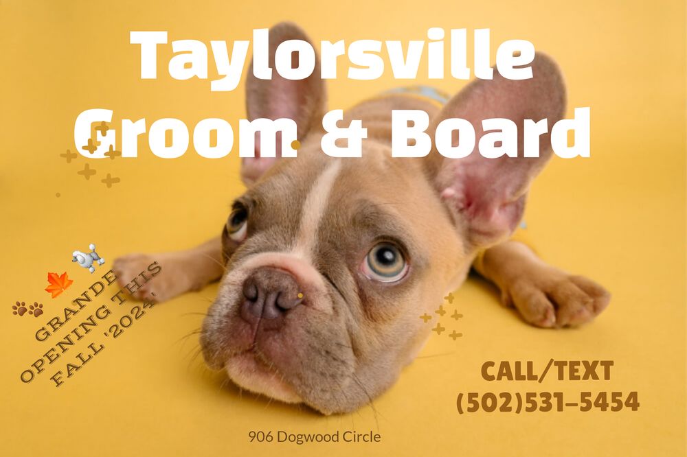 Taylorsville Groom and board - pet boarding facility in Taylorsville, KY