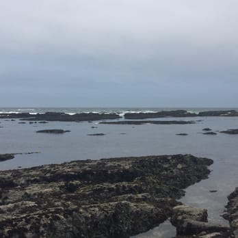 Fitzgerald Marine Reserve - Amazing view - Parks Near Me - Moss Beach, California Fitzgerald Marine Reserve - Amazing view - Parks Near Me - Moss Beach, California