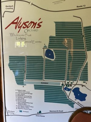 Alyson's Orchard by null