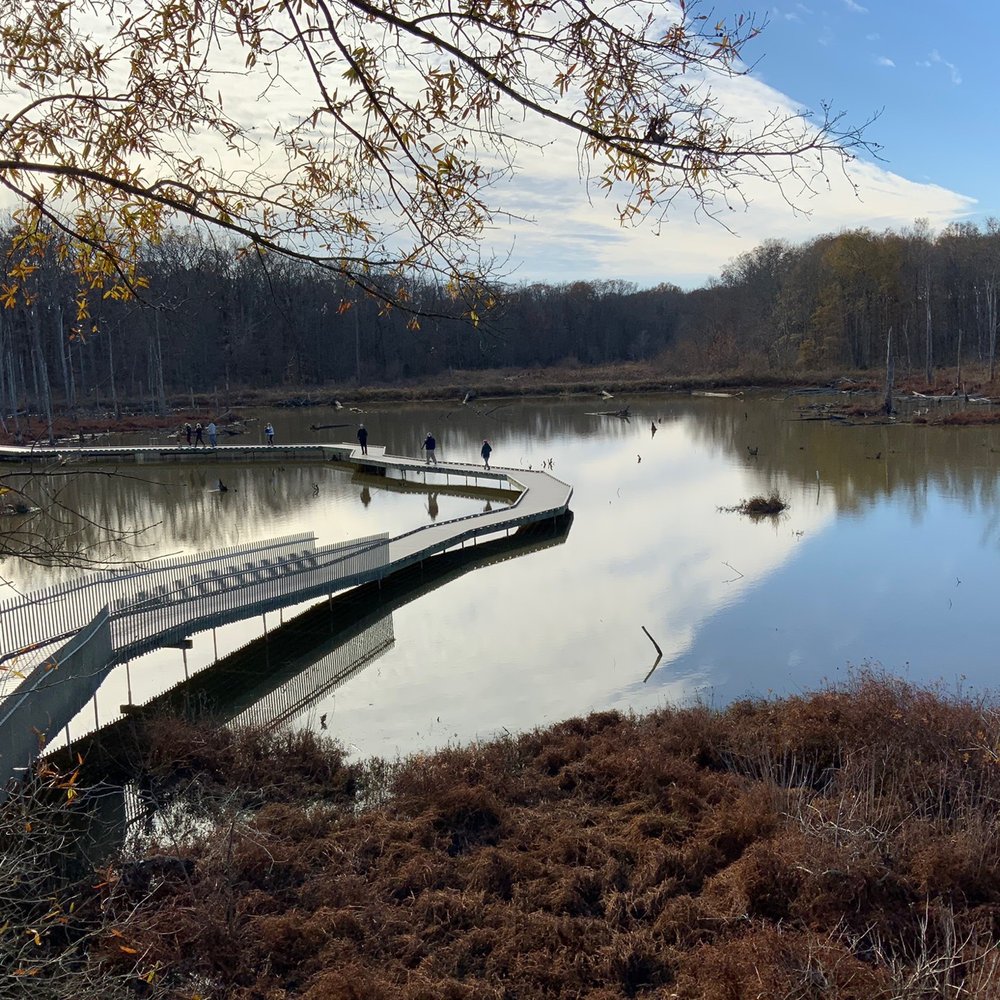 Huntley Meadows Park - Parks Near Me - Alexandria, Virginia Huntley Meadows Park - Parks Near Me - Alexandria, Virginia