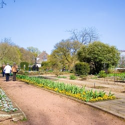 Botanischer Garten - April 2012, Botanischer Garten am Schönwasserpark