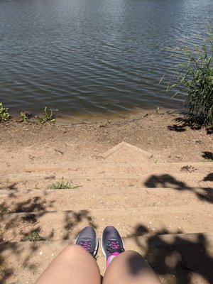 Couturie Forest by null