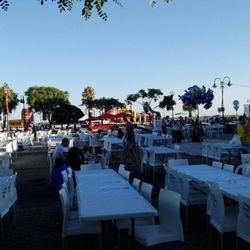 Festa da Ria Formosa - Getting started