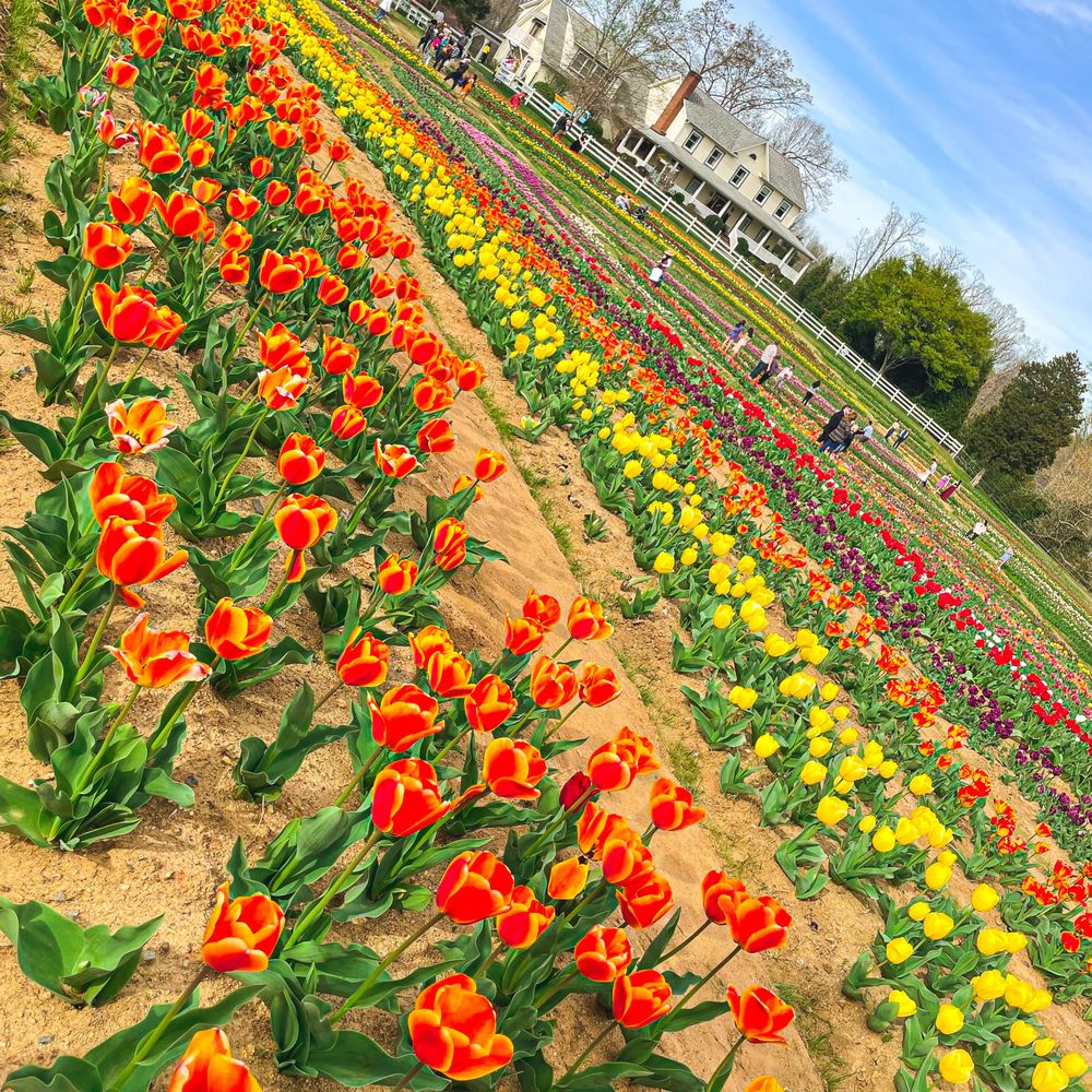 Dewberry Farm - Venues & Event Spaces Near Me - Kernersville, North Carolina Dewberry Farm - Venues & Event Spaces Near Me - Kernersville, North Carolina