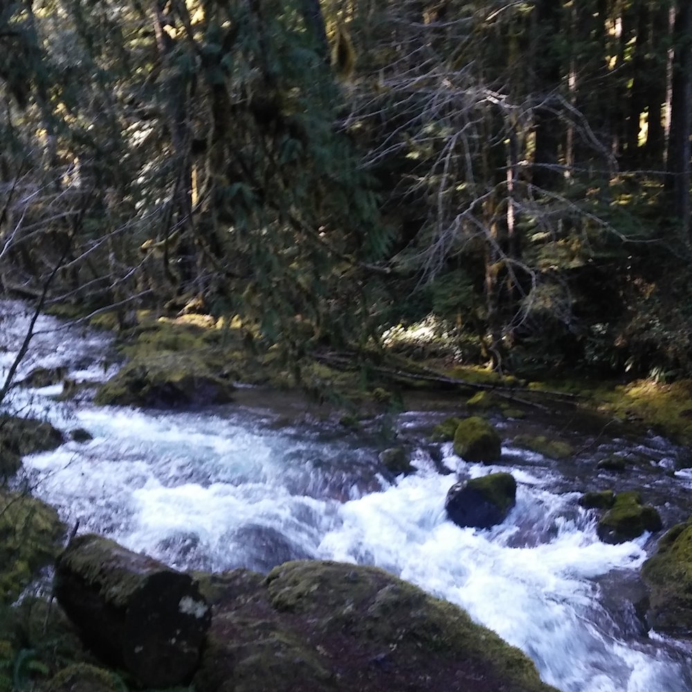 Bagby Hot Springs - On the way up - Parks Near Me - Estacada, Oregon Bagby Hot Springs - On the way up - Parks Near Me - Estacada, Oregon