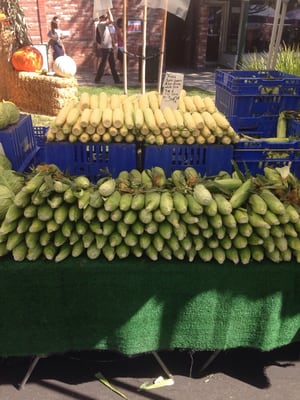 Montrose Farmers Market by null