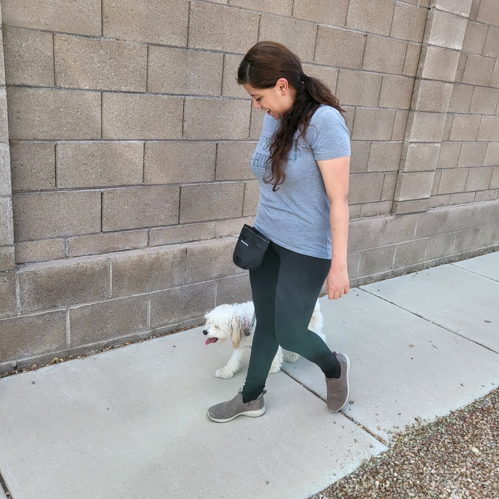 6 PAWS TRAINING CAMP Updated May 2024 Request Consultation 13