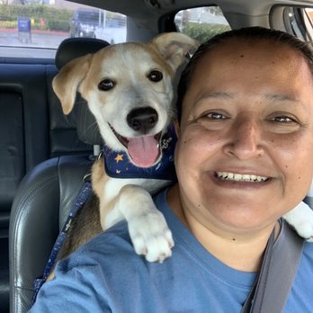 Caring Songs Rescue - After his first day of puppy training. - Pet Adoption Near Me Caring Songs Rescue - After his first day of puppy training. - Pet Adoption Near Me