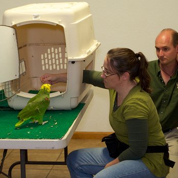 Creature Connections Behavior Alliance - crate training is an important behavior to teach any species of animal for safety and travel to and from vet visits. - Pet Training Near Me - Billerica, Massachusetts Creature Connections Behavior Alliance - crate training is an important behavior to teach any species of animal for safety and travel to and from vet visits. - Pet Training Near Me - Billerica, Massachusetts