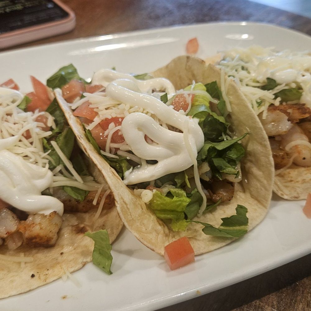 Zocalo Grill - Shrimp Tacos - Mexican Near Me - Haines City, Florida Zocalo Grill - Shrimp Tacos - Mexican Near Me - Haines City, Florida