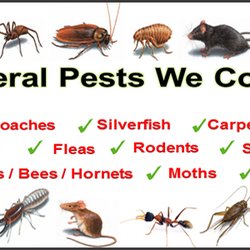 Peace Of Mind Pest Solutions - Some of the many pest services we offer. Our inspections are ALWAYS FREE!