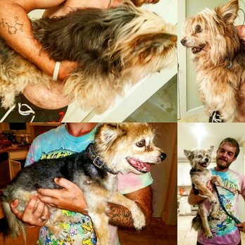Safe N Sound Hounds - Dog Walkers Near Me Safe N Sound Hounds - Dog Walkers Near Me