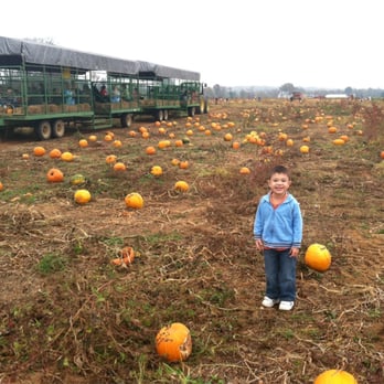 Belvedere Plantation - Pumpkin Patch - Festivals Near Me - Fredericksburg, Virginia