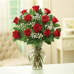 Petals & Stems Florist - 1 DOZEN LONG STEM RED ROSES IN CLEAR GLASS VASE