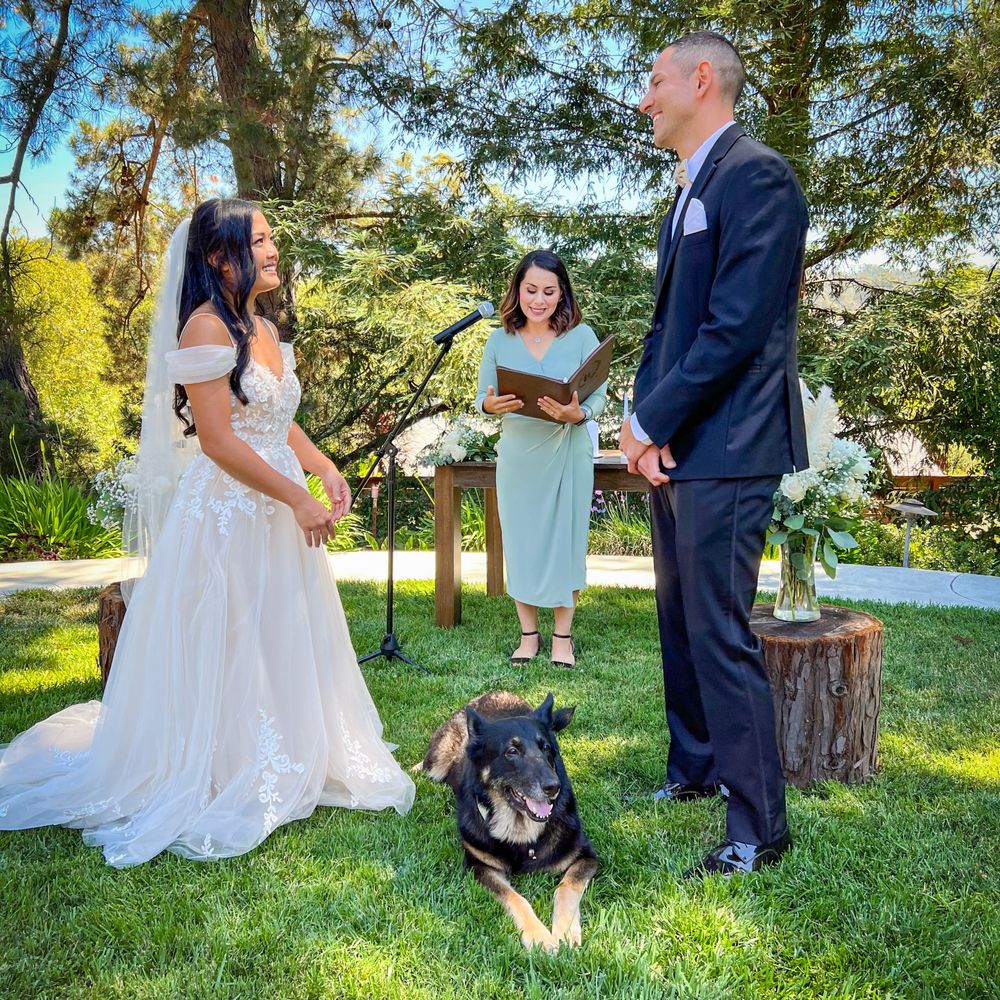 Winner Weddings by Roya - Officiants Near Me Winner Weddings by Roya - Officiants Near Me