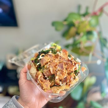 Aloha Fresh - Poke nachos - Poke Near Me - San Jose, California Aloha Fresh - Poke nachos - Poke Near Me - San Jose, California