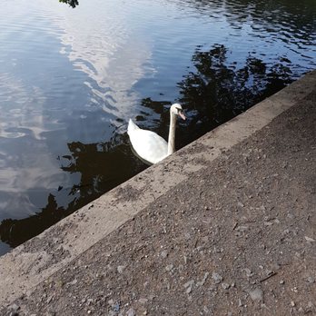 Sutton Park - Parks Near Me - Sutton Coldfield, XWM