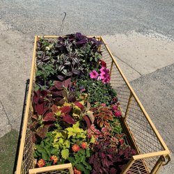 McAllister Greenhouses