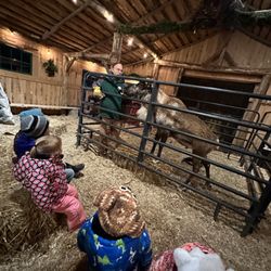Shortsville Reindeer Farm