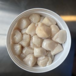 Dunton's Doghouse - Fresh scallops
