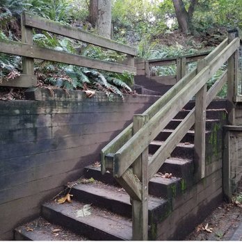 Weowna Park - Stairs at Crow's nest - Parks Near Me - Bellevue, Washington