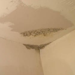 Paul Davis Emergency Services - Mold Spot in Ceiling