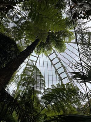 Conservatoire et Jardin botaniques de Genève by null