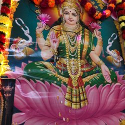 Astrologer and Palm Readings - Lord laxmi mata