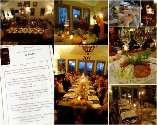 Ankida Ridge Vineyards by null