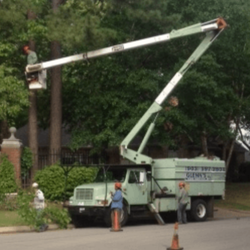 Glenn's Tree Service