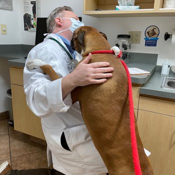 VCA Chatsworth Veterinary Center - Veterinarians Near Me - Chatsworth, California VCA Chatsworth Veterinary Center - Veterinarians Near Me - Chatsworth, California