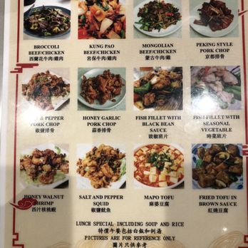 Mama Lu's Dumpling House - Lunch special - Dim Sum Near Me - Tustin, California Mama Lu's Dumpling House - Lunch special - Dim Sum Near Me - Tustin, California