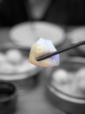 Osmanthus Dim Sum Lounge by null