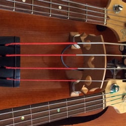 Bass lessons with Ross Taylor - Electric, fretted, or Upright bass.  Learn to play, compose or improvise your favourite styles!